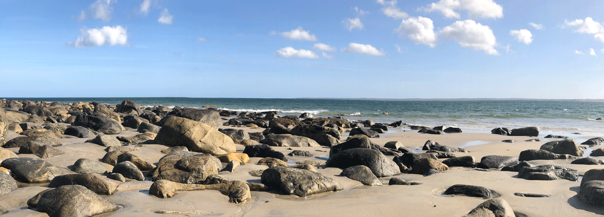 ocean scene with foreground rocks